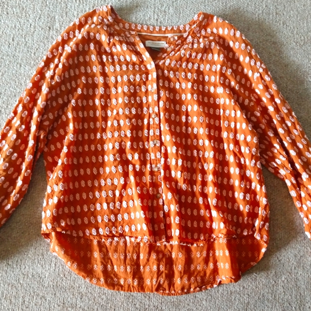 Anthropologie pilcro tavi button down